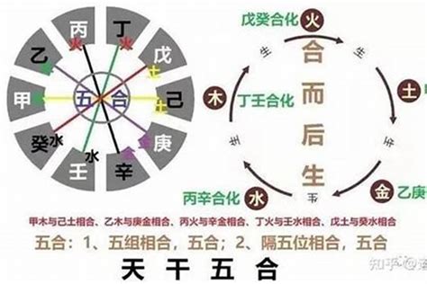 戊土女身弱|易学君：八字入门之戊土命